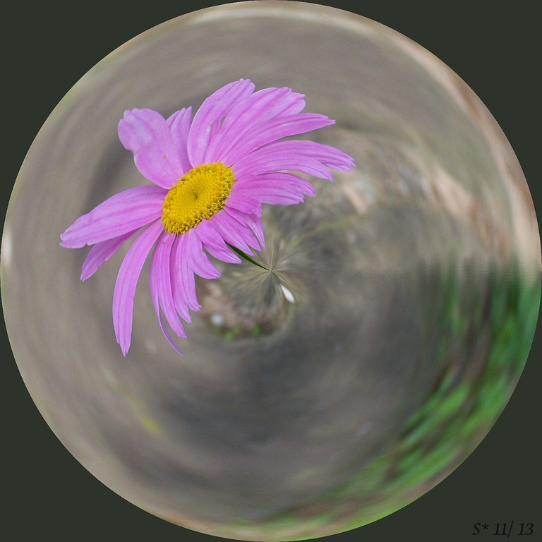 comp_Blumenkugel.jpg
