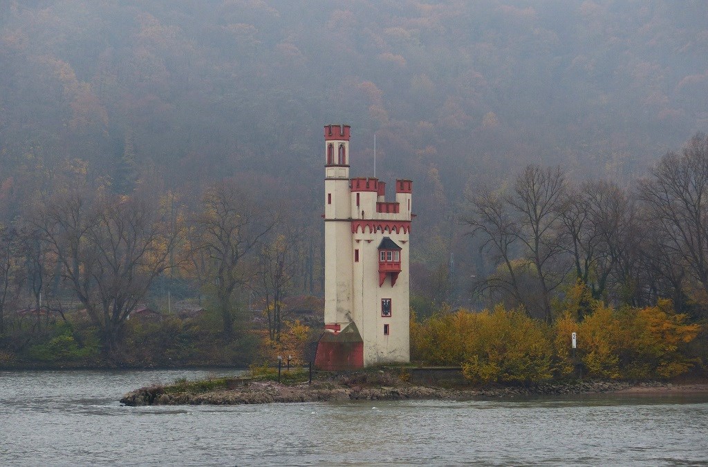 P1310156.JPG