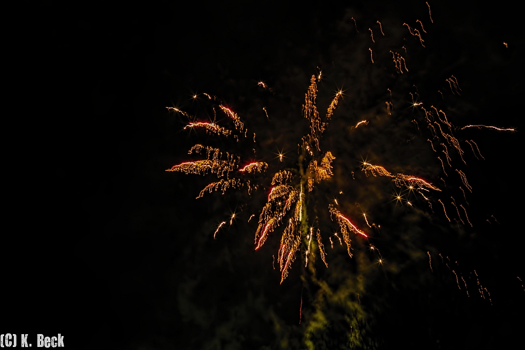 P1040036-k.jpg