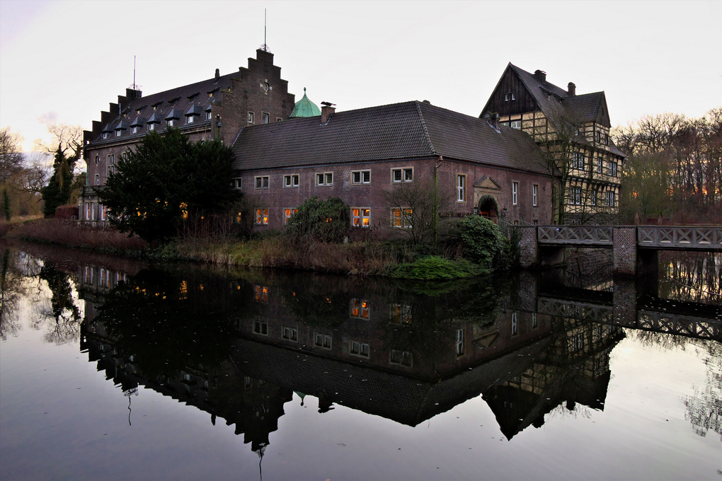 witDSC014141020.jpg