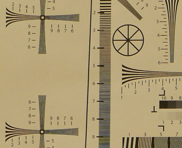 P1180121crop.jpg