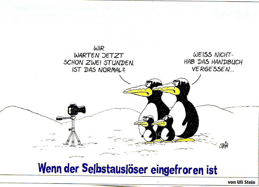Selbstauslöserprobleme_3_1.jpeg