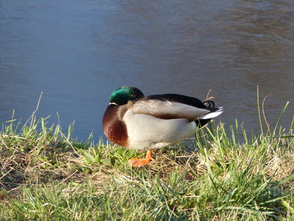 P1000024.JPG