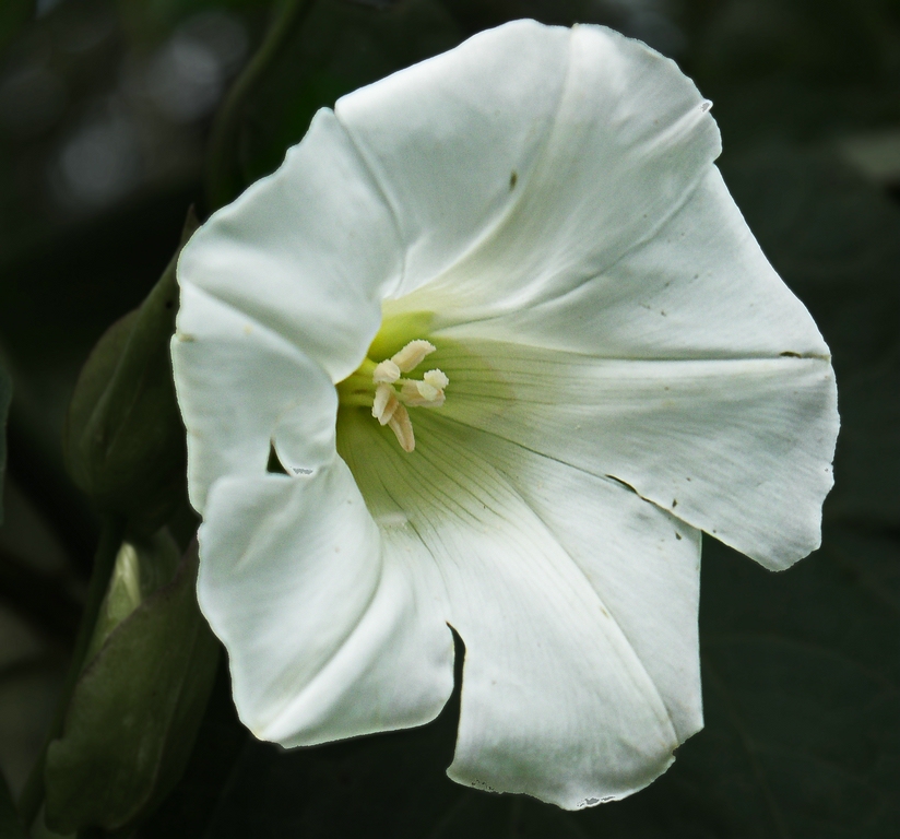 comp__1010426Hintergrund.jpg