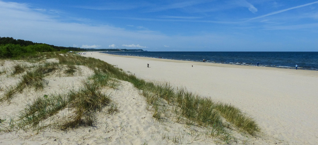 20130524-P1050058k1.jpg