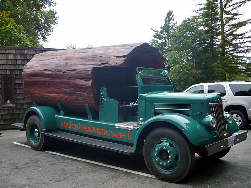 _usa-redwood-car.jpg