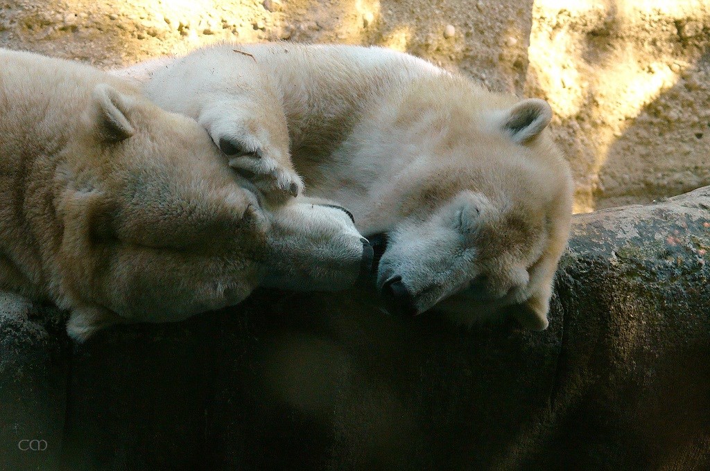 P2360103a.jpg