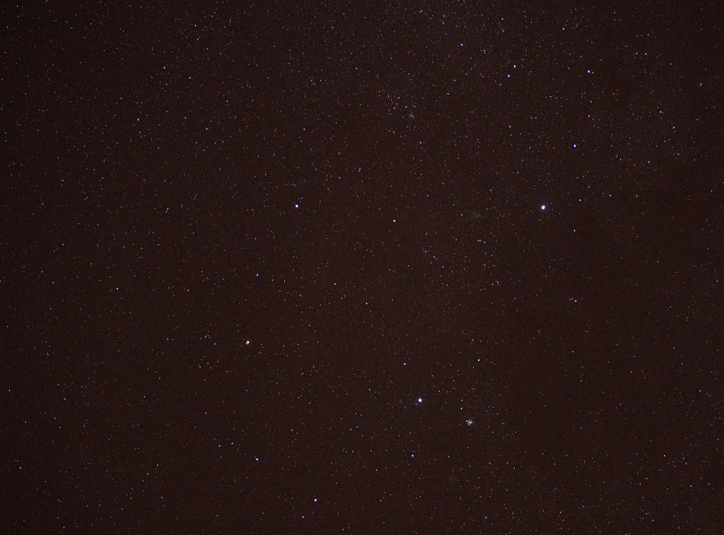 p1060583_single.jpg