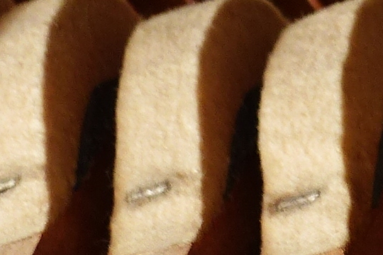 P1010030Ausschnitt1.JPG