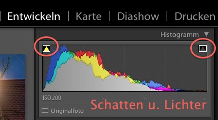 Schatten u. Lichter.jpg