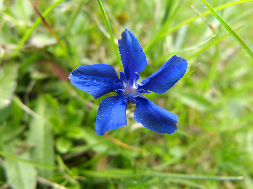 P1020191.jpg