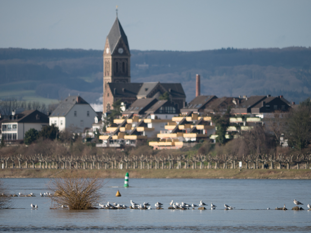 12. Februar 2014_1110811.jpg