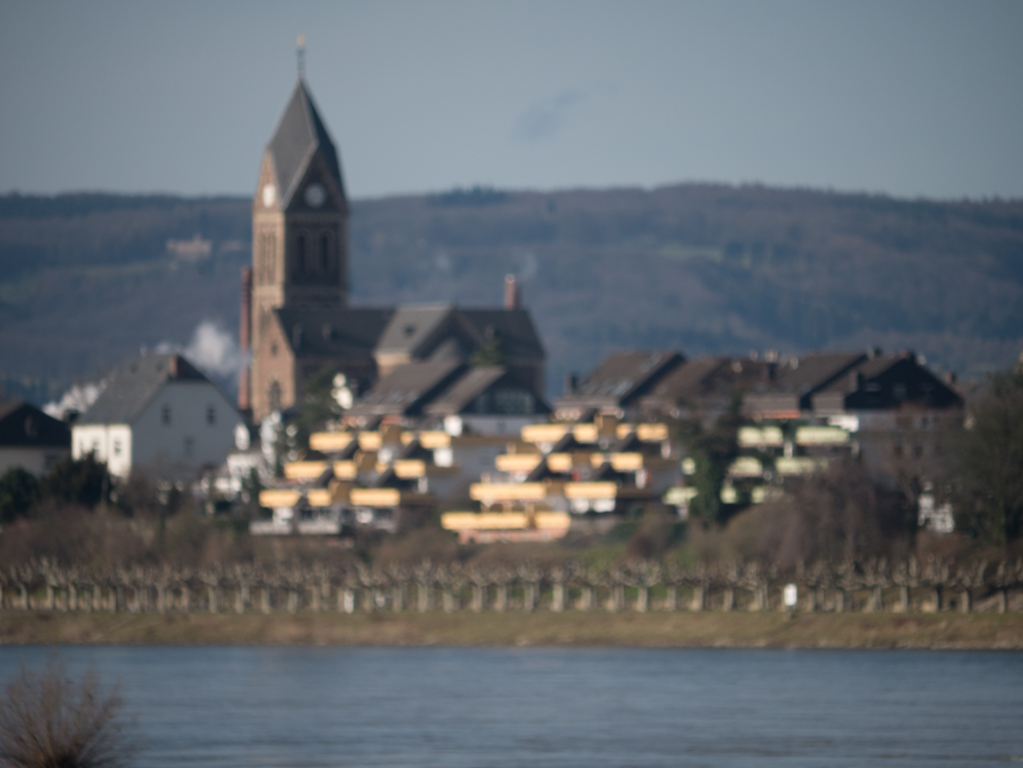 12. Februar 2014_1110817.jpg