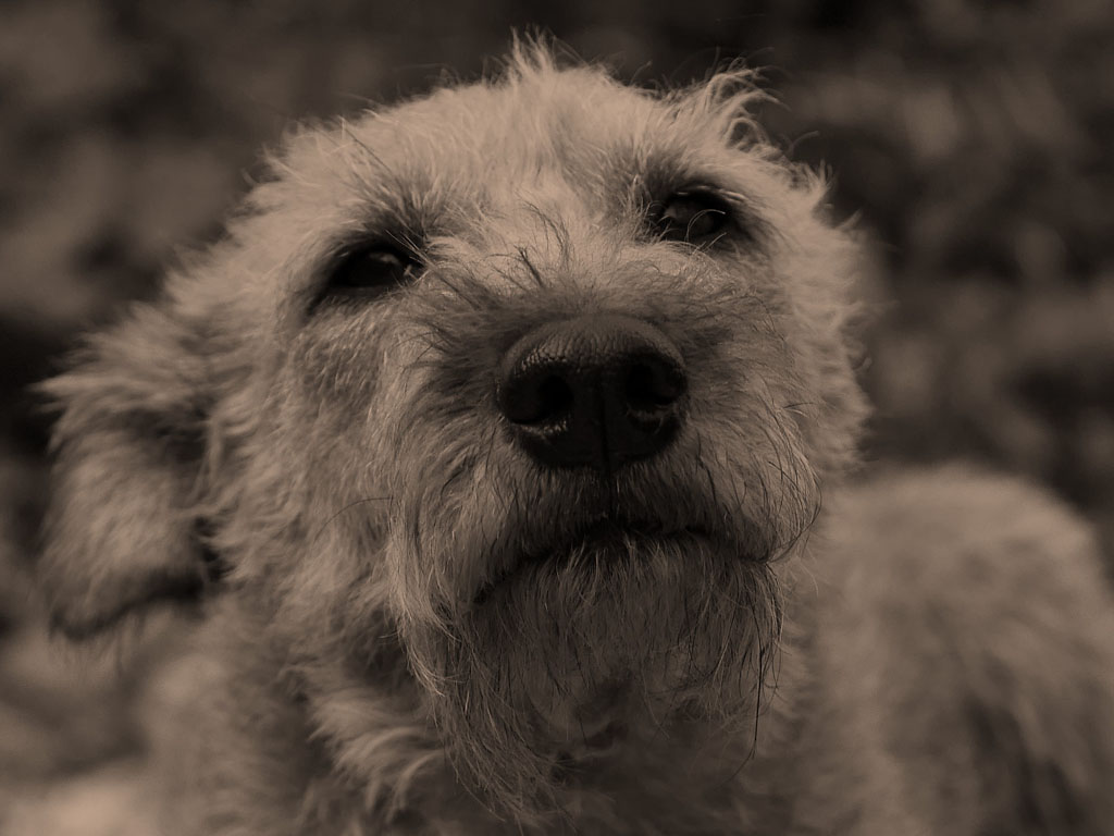 kayleigh_portrait_k.jpg