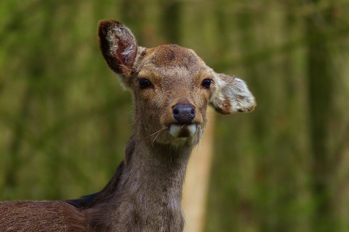 P1010251 - Kopie.JPG