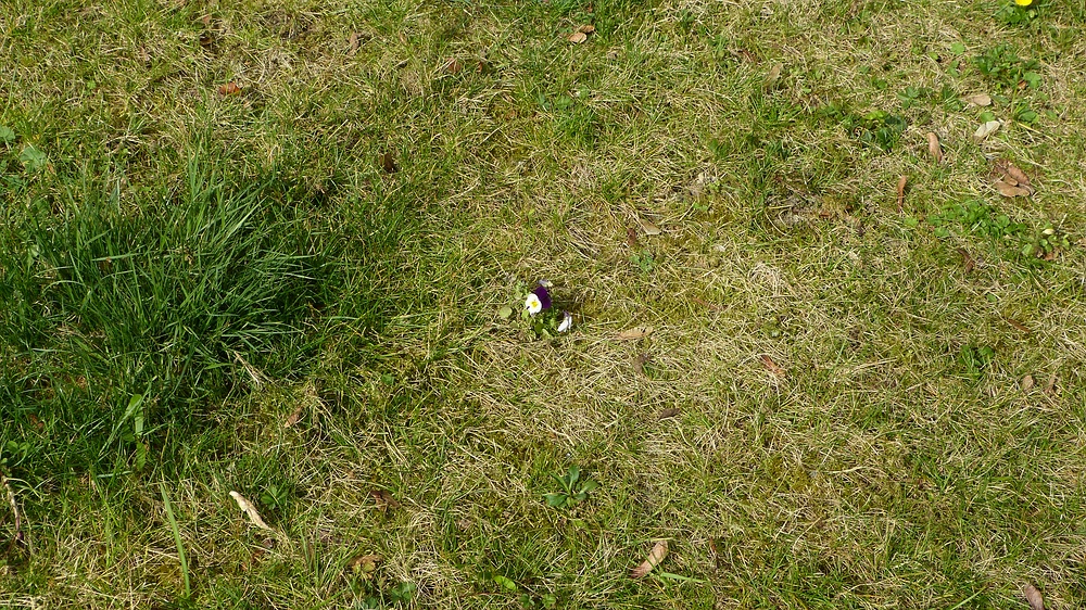 verkleinert-P1220320.jpg