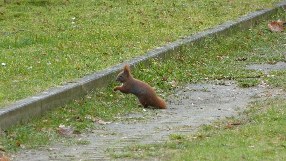 verkleinert-Original Foto mit Exifs.jpg