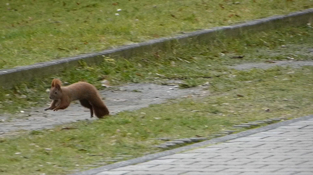 verkleinert-extrahiert aus Video.jpg