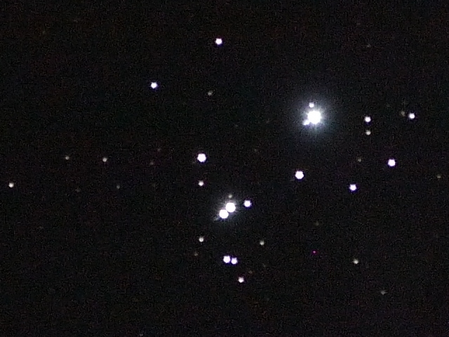 p1080331.jpg