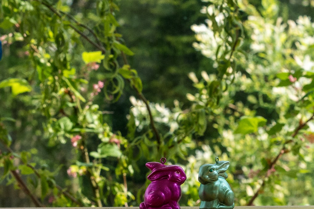 comp_P1070105-LR1.RW2.JPG.jpg