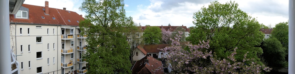 P1000149klein.jpg