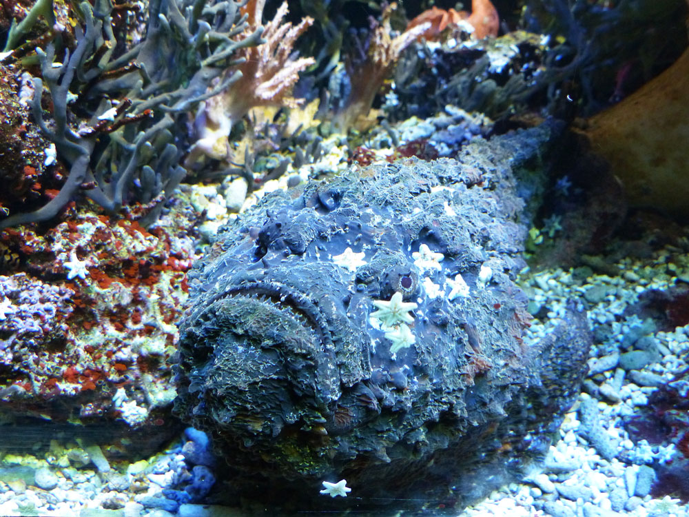 KL-Nürnberger-Zoo-115.jpg