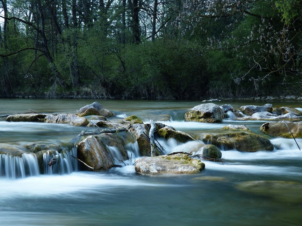 P1040567-2.JPG