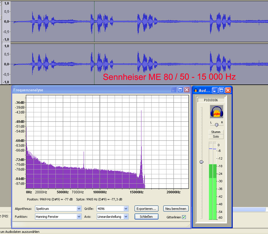 FZ-200-und-Sennheiser-ME-80.jpg