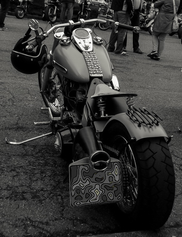 P1040916-1sm-1.jpg