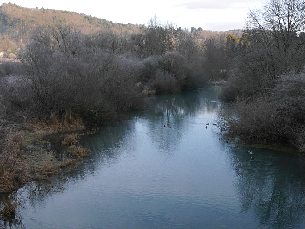 P1000396_b.jpg