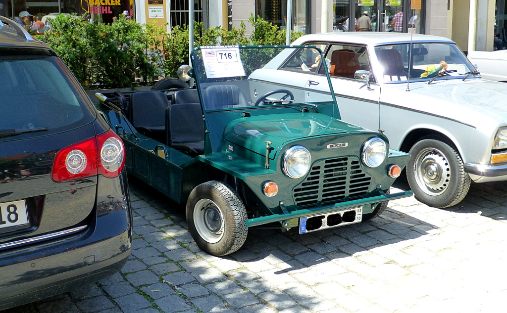 minimoke1.JPG