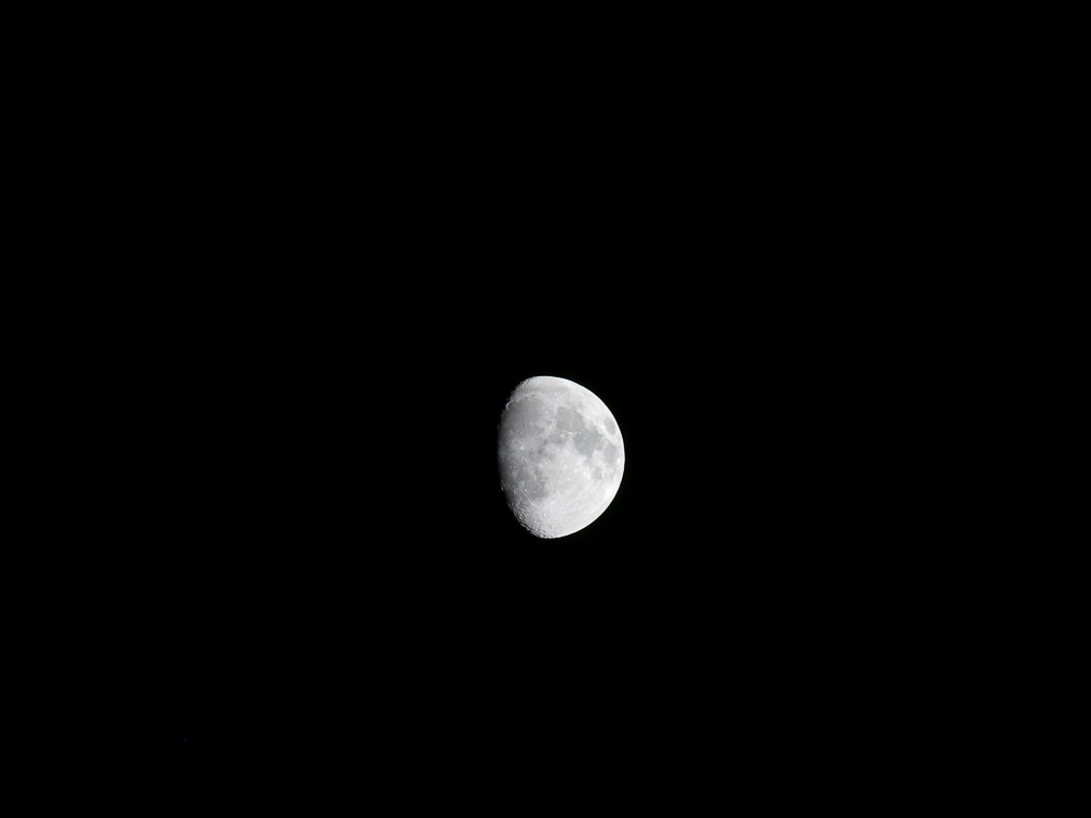 20140608-P1070296a.jpg
