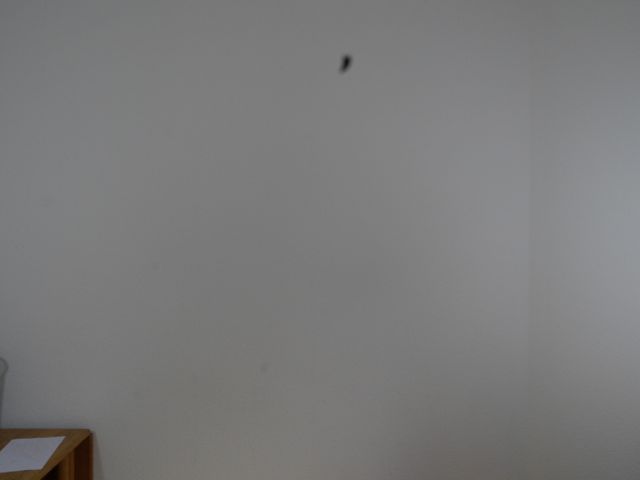 P1000072.jpg