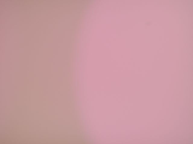 P1000075.jpg