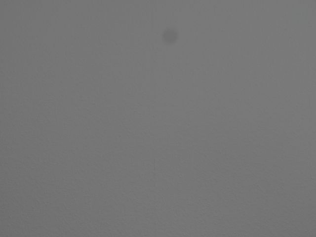 P1000076.jpg