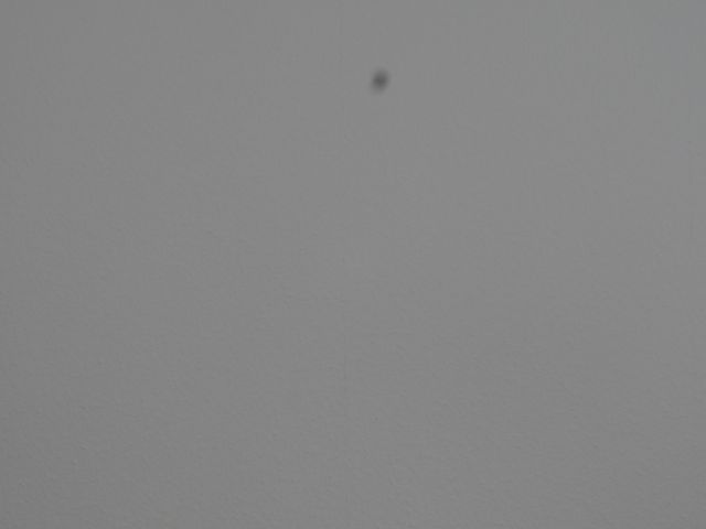 P1000079.jpg