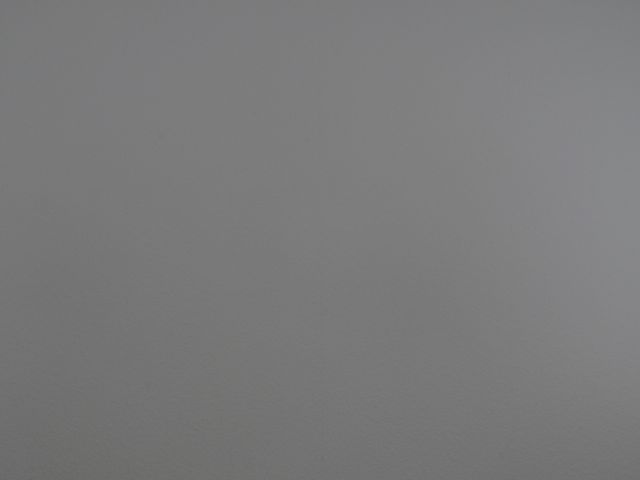 P1000080.jpg