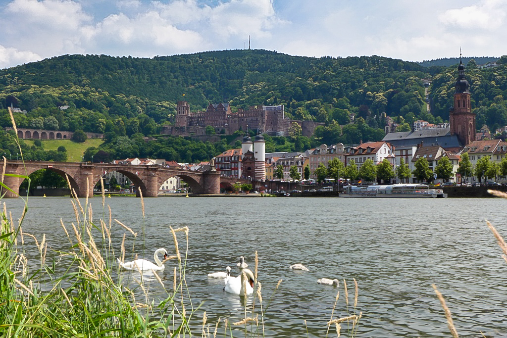 20140619-P1020669_ji.jpg