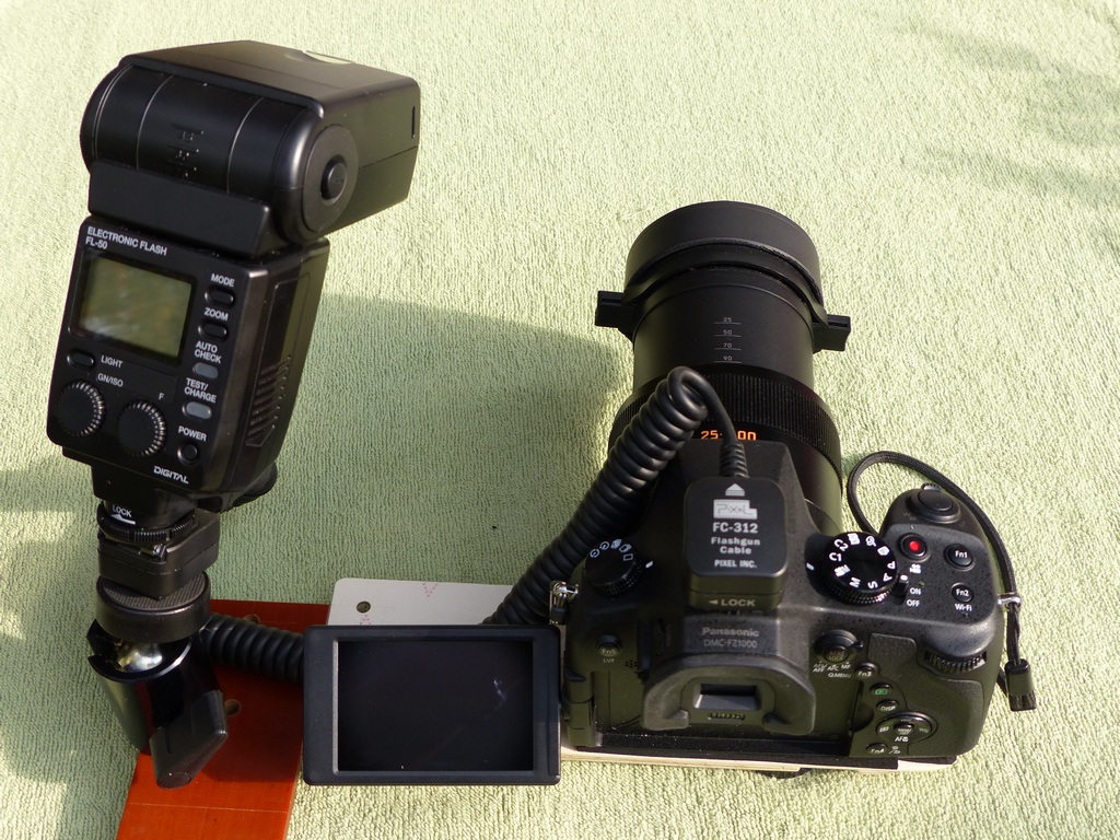 P1090208_1.jpg