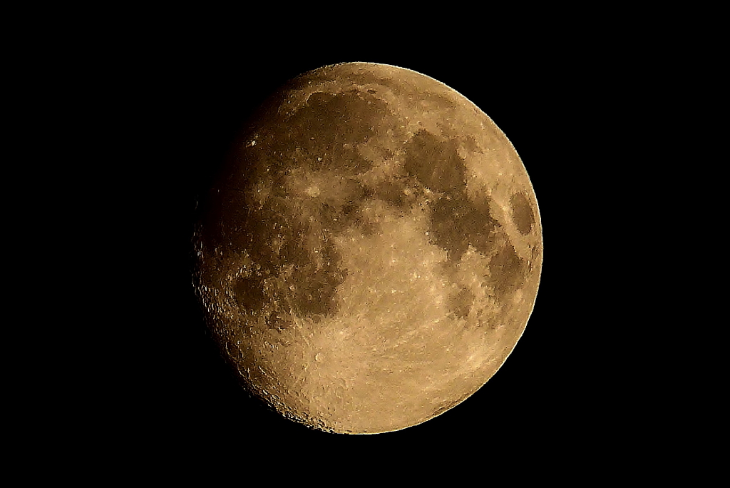 P1060990_1_1.JPG