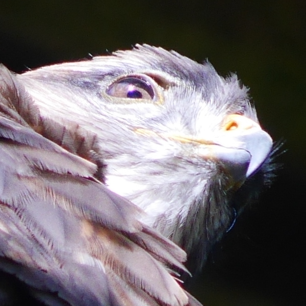 P1020156.jpg