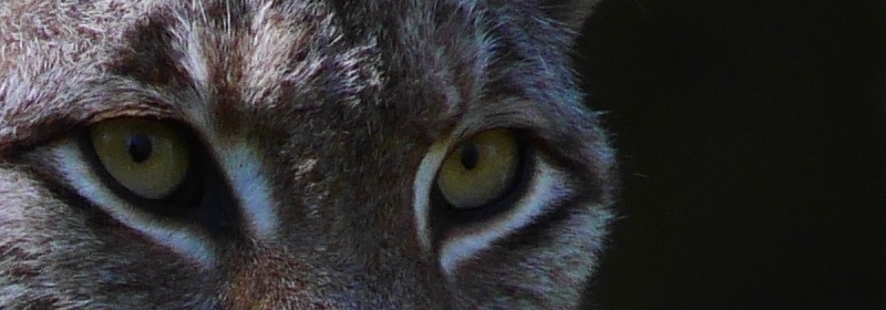 P1020152.jpg