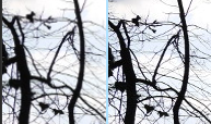 140302.png