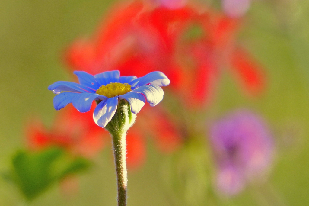 P1060745c_1_1.jpg