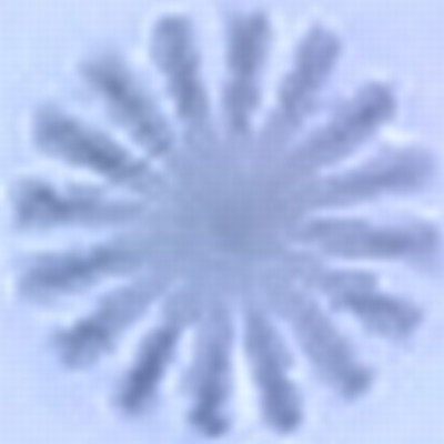 P1000479_1600A.jpg
