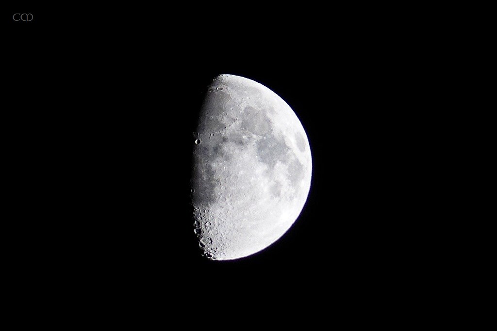 P1580641 copy.jpg