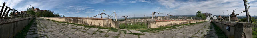 Riegersburg_Panorama2.jpg
