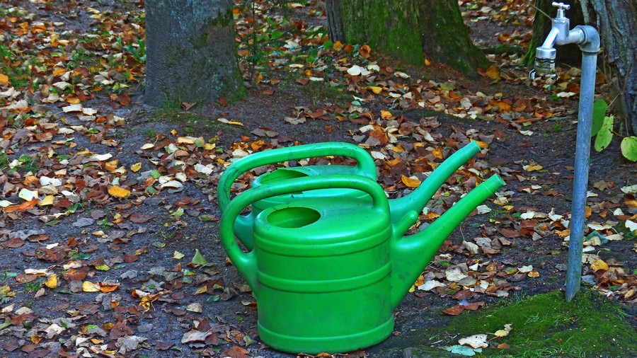 verkleinert.jpg