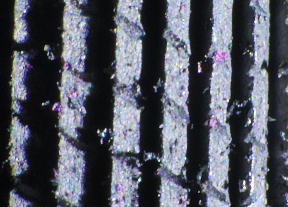 P1010563a.JPG