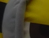 P1210196 Lumix RätselEi 10 Ratebild 1.JPG